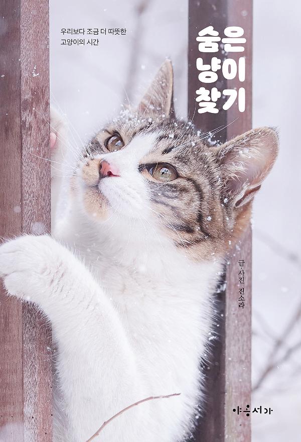 숨은 냥이 찾기_책표지