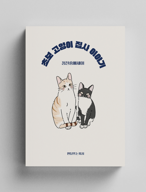 평면표지(2D 앞표지)