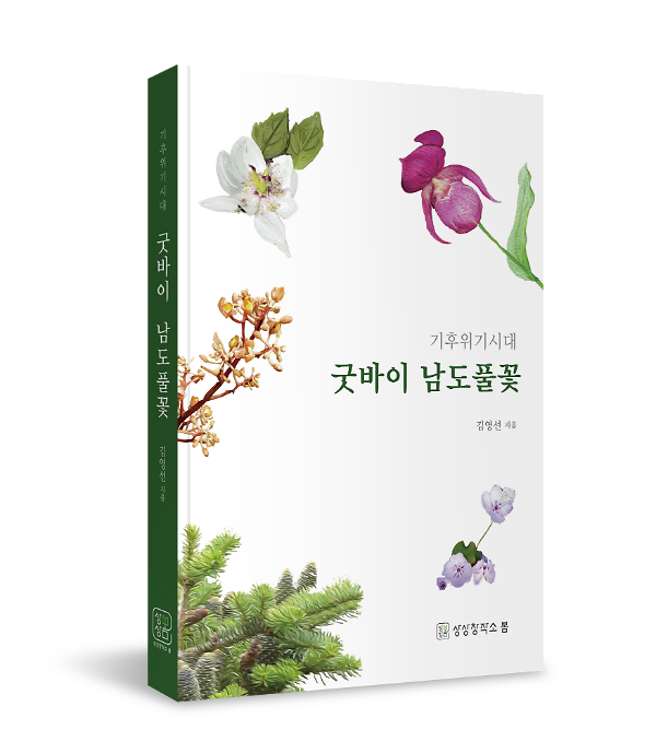 입체표지(3D 표지)