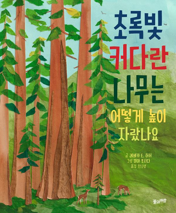 초록빛 커다란 나무는 어떻게 높이 자랐나요_책표지