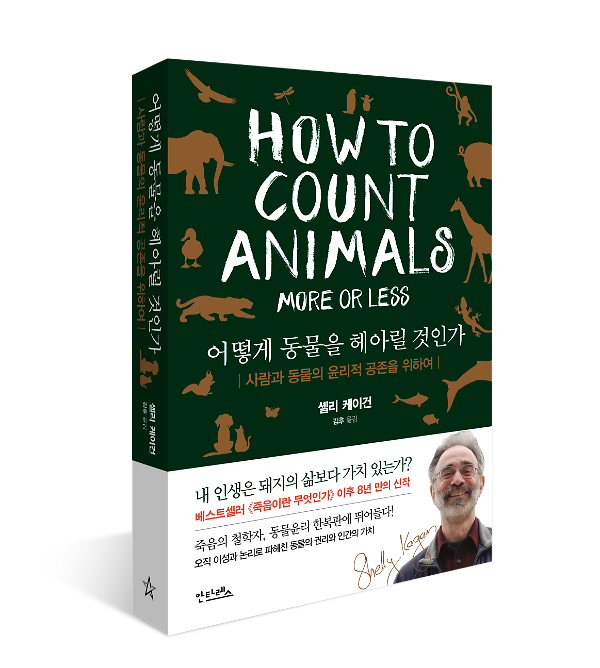 입체표지(3D 표지)
