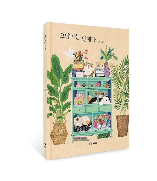 입체표지(3D 표지)