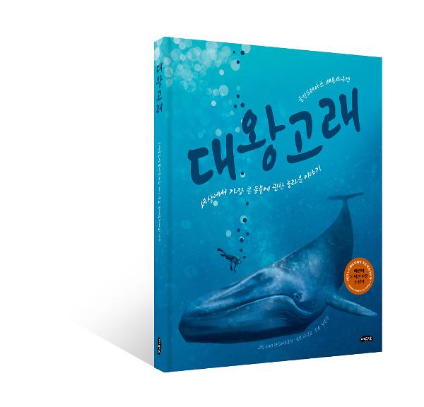 입체표지(3D 표지)