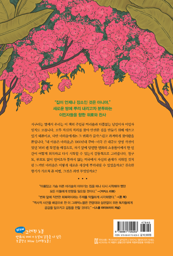 2D 뒤표지