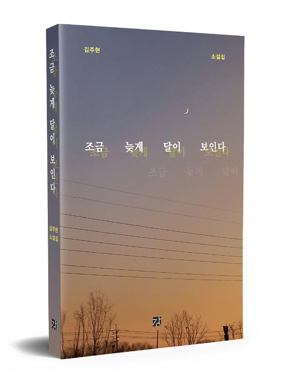 입체표지(3D 표지)