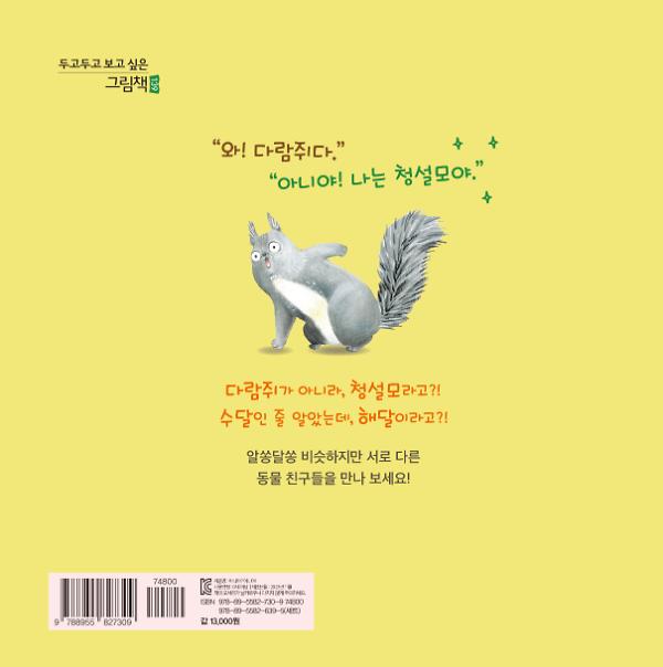2D 뒤표지