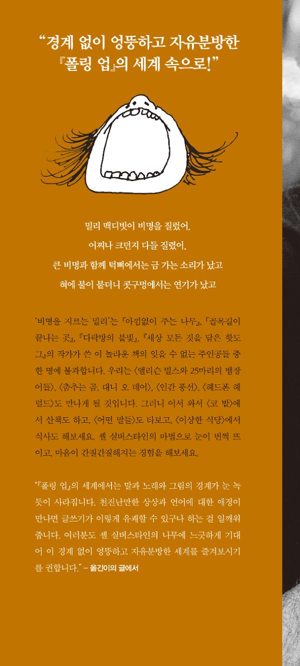 입체표지(3D 표지)