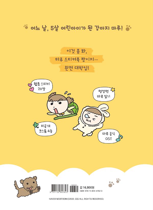 2D 뒤표지