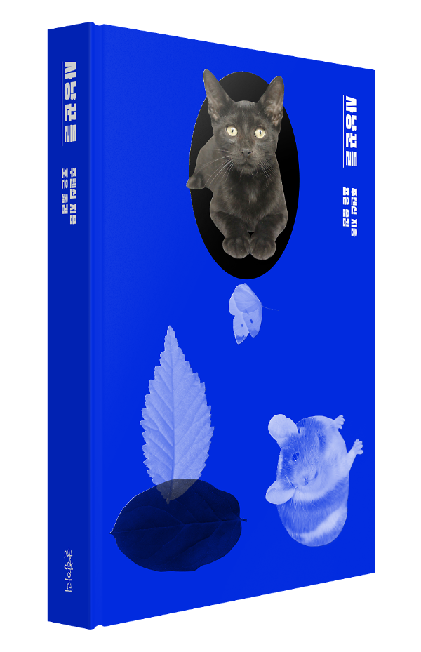 입체표지(3D 표지)