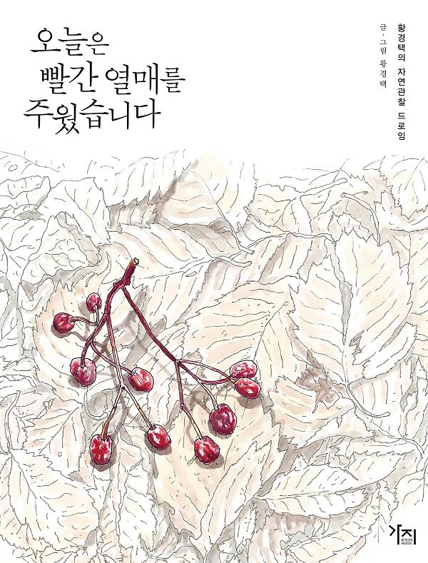 오늘은 빨간 열매를 주웠습니다_책표지