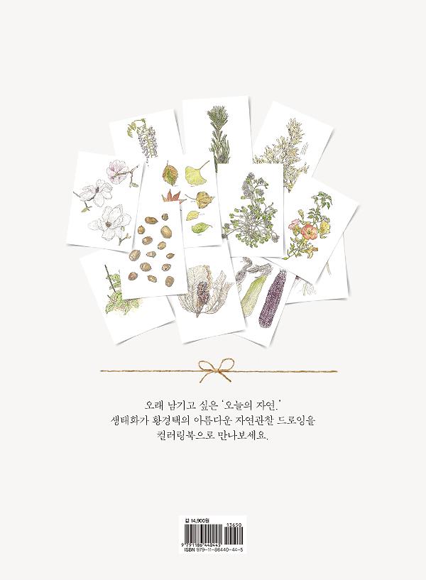 2D 뒤표지