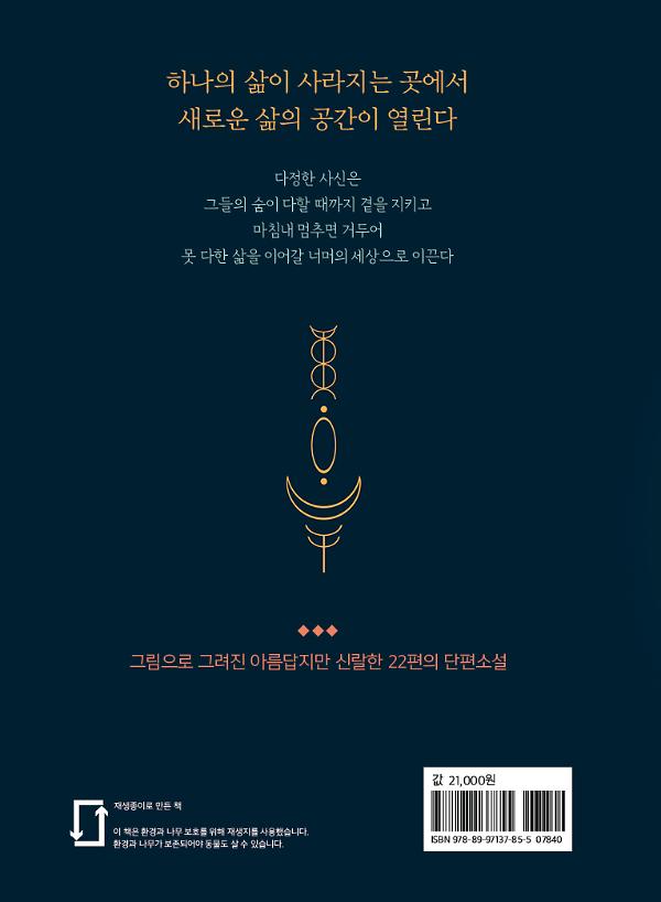 2D 뒤표지