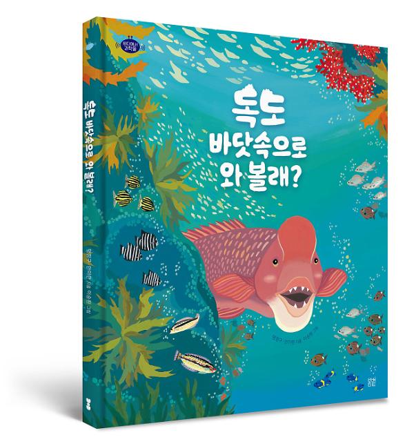 입체표지(3D 표지)