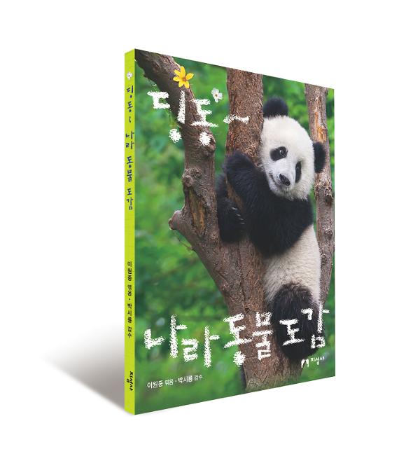 입체표지(3D 표지)