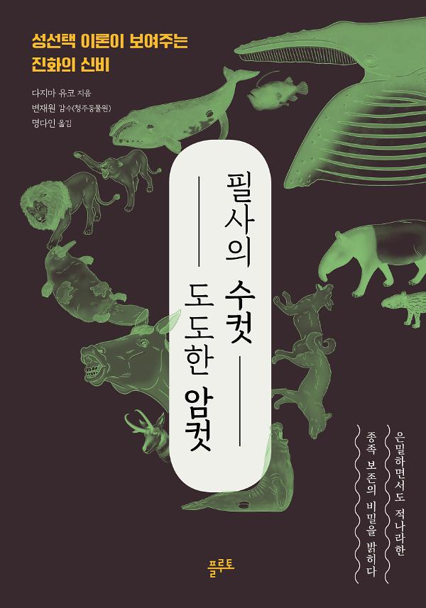 평면표지(2D 앞표지)