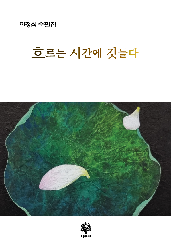 평면표지(2D 앞표지)