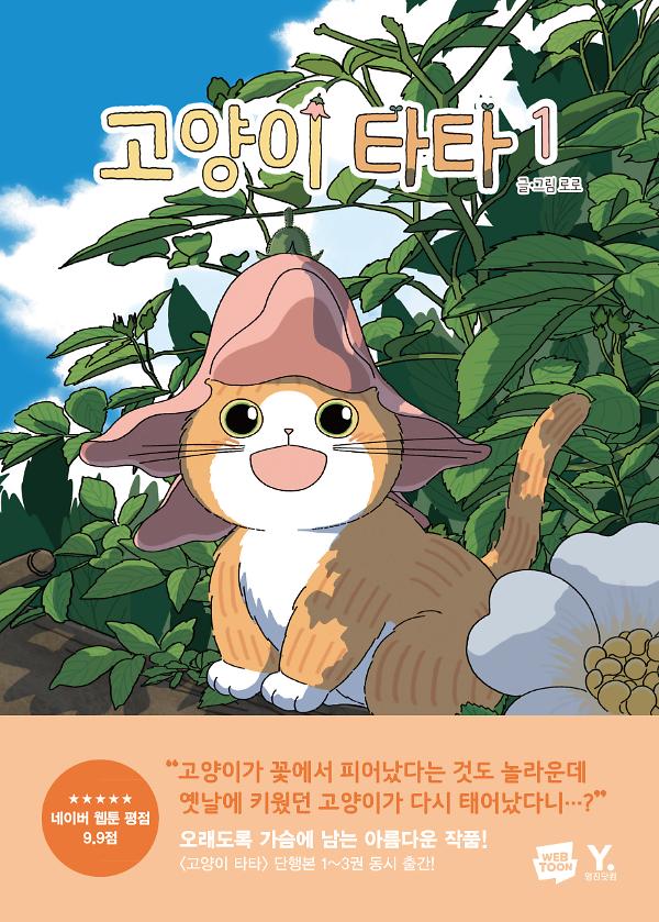 평면표지(2D 앞표지)