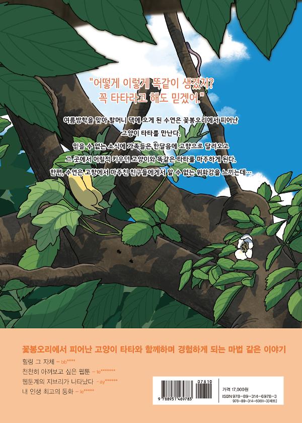2D 뒤표지