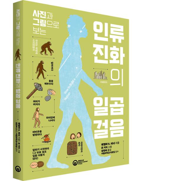 입체표지(3D 표지)