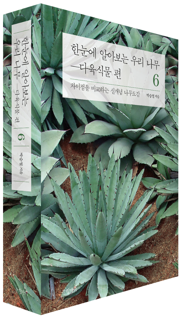 입체표지(3D 표지)