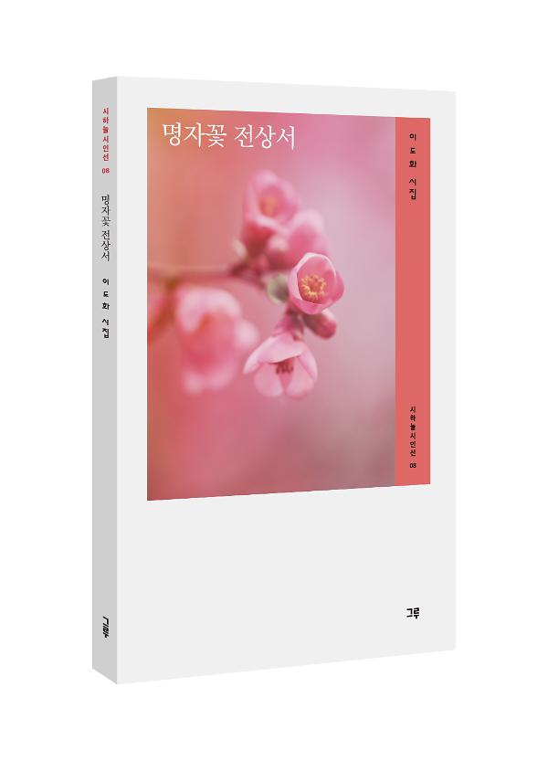 입체표지(3D 표지)