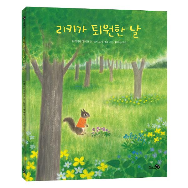 입체표지(3D 표지)