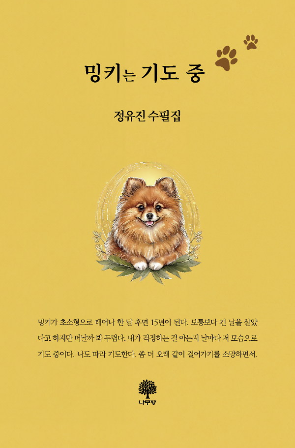 평면표지(2D 앞표지)