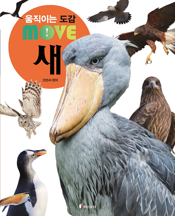 새_책표지