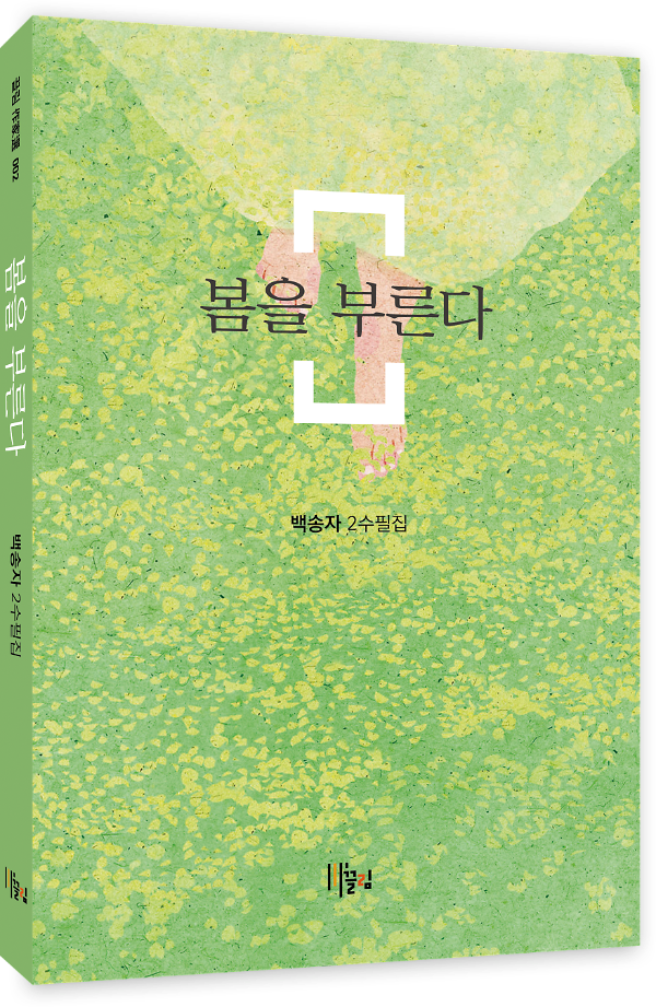 입체표지(3D 표지)