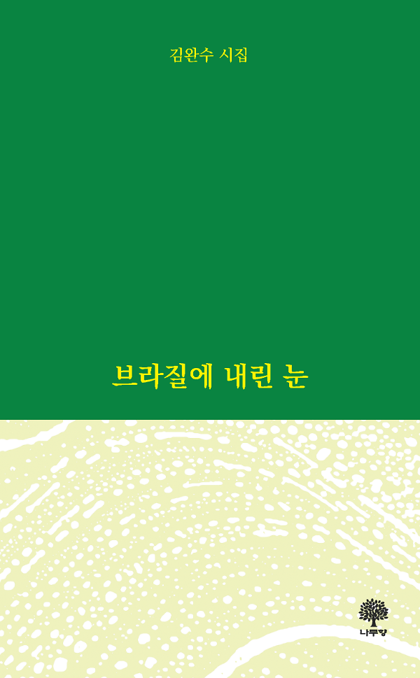 브라질에 내린 눈_책표지