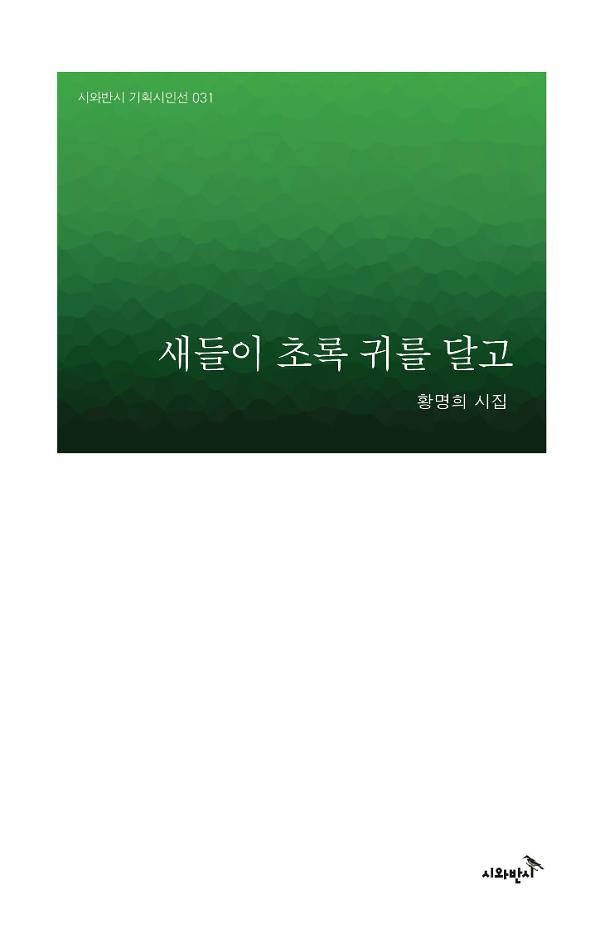 새들이 초록 귀를 달고_책표지