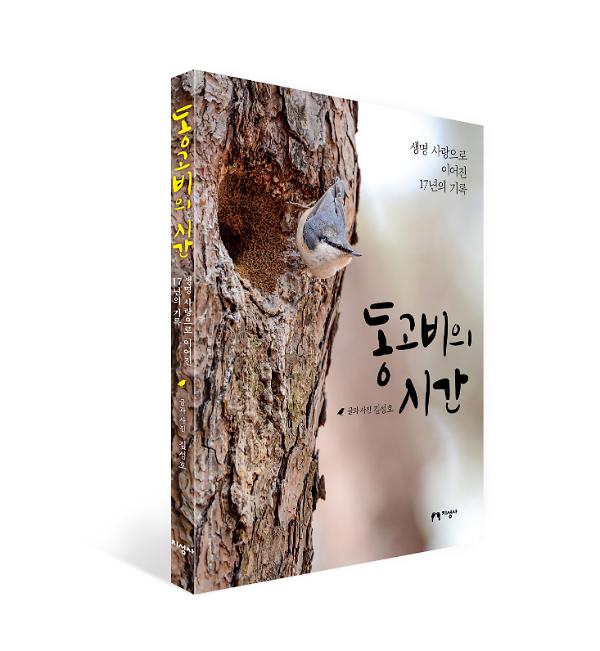 입체표지(3D 표지)