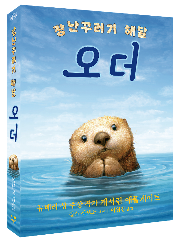 입체표지(3D 표지)