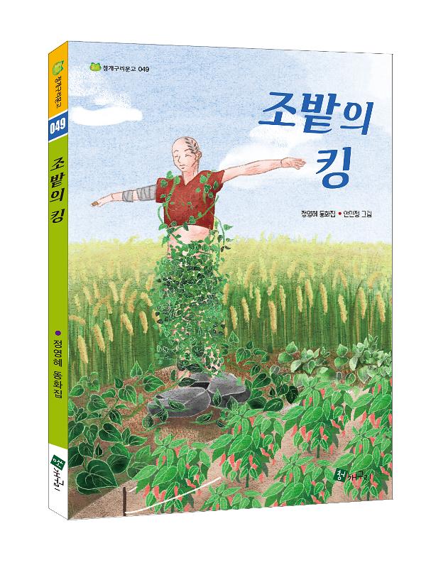입체표지(3D 표지)