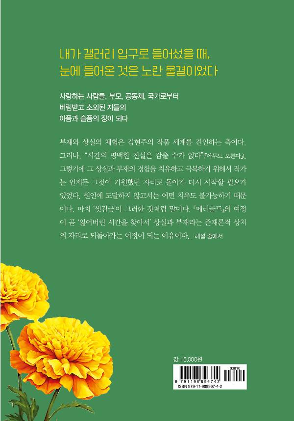 2D 뒤표지