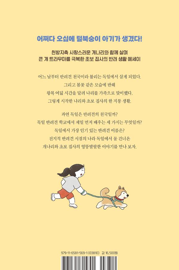 2D 뒤표지