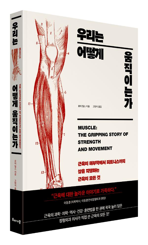 입체표지(3D 표지)