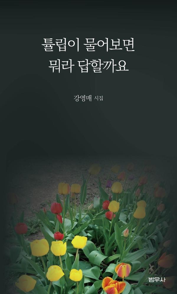 튤립이 물어보면 뭐라 답할까요_책표지