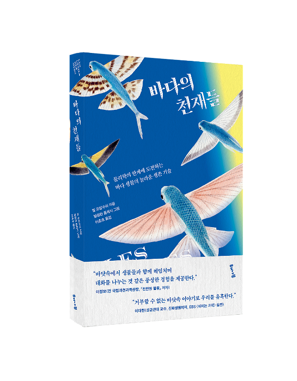 입체표지(3D 표지)