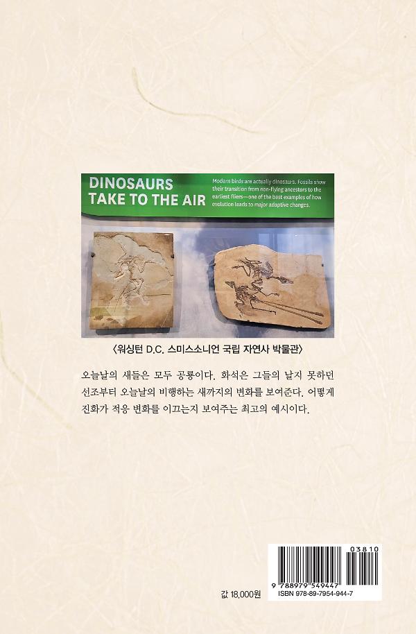 2D 뒤표지