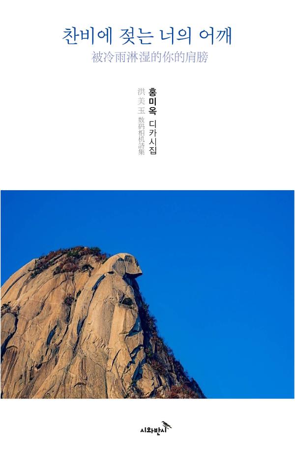 찬비에 젖는 너의 어깨_책표지
