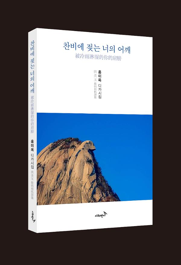 입체표지(3D 표지)
