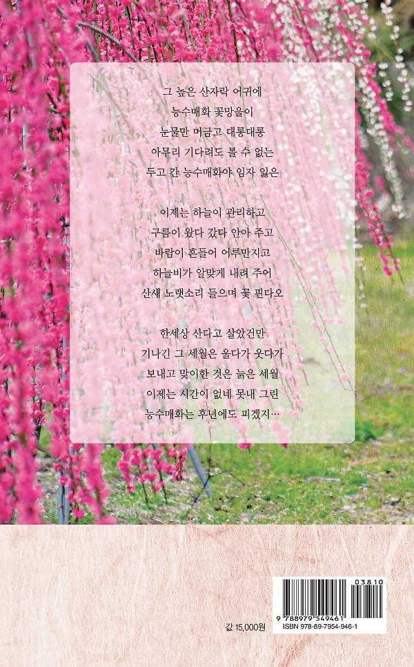2D 뒤표지