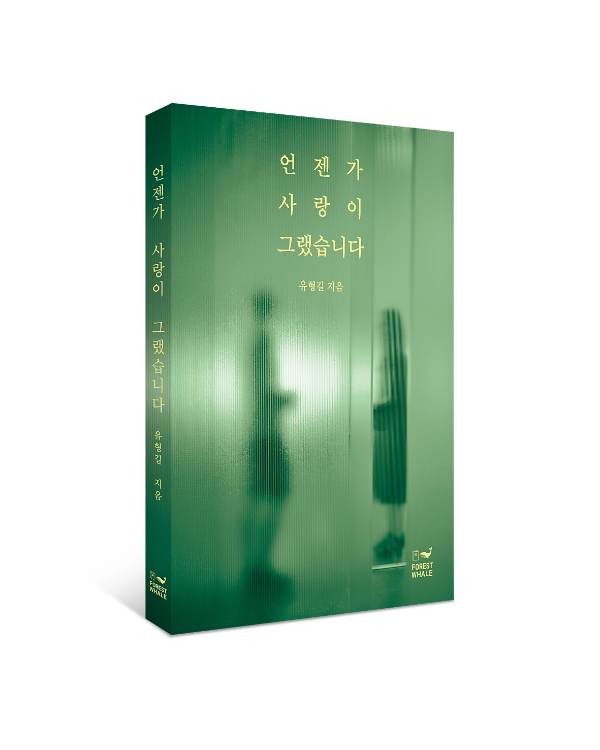 입체표지(3D 표지)