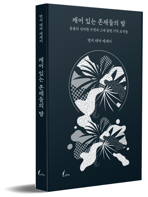 입체표지(3D 표지)