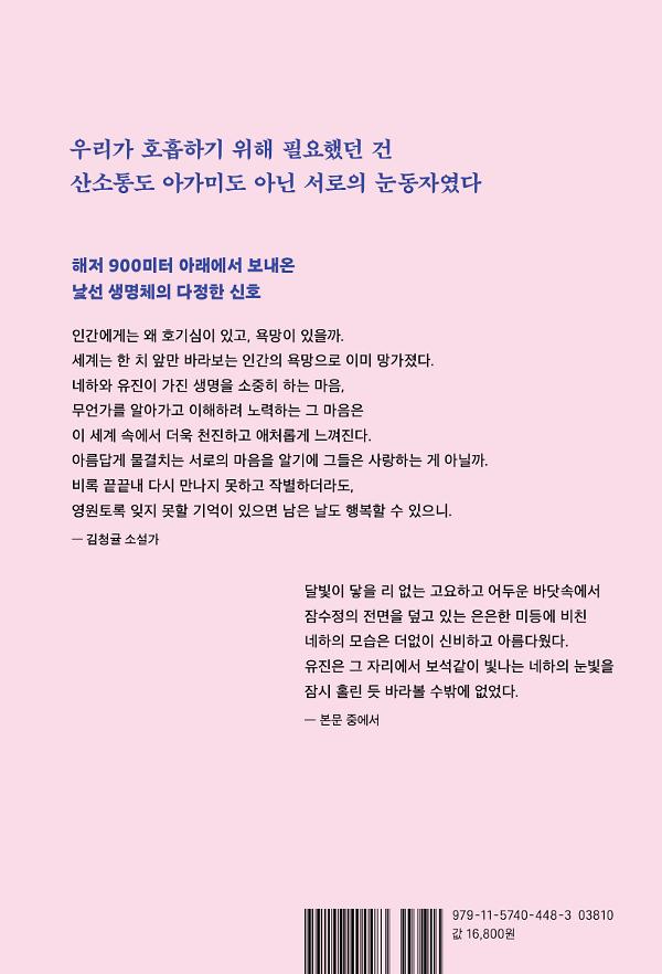 2D 뒤표지