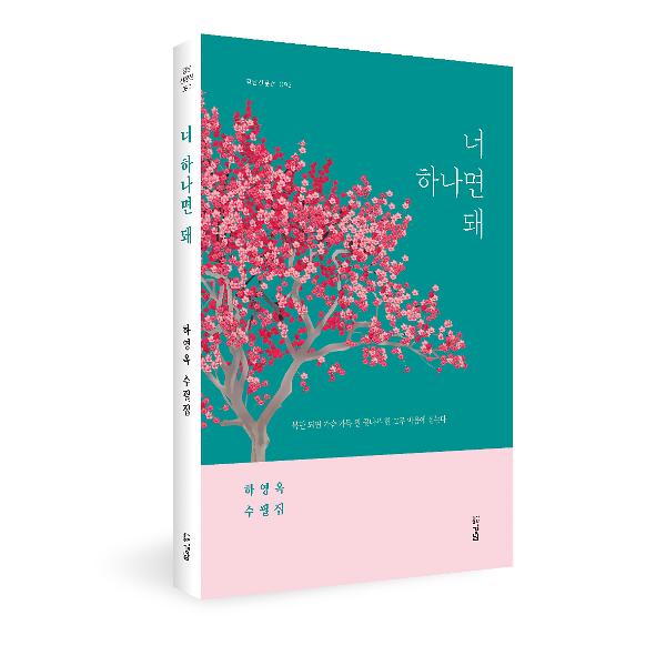 입체표지(3D 표지)