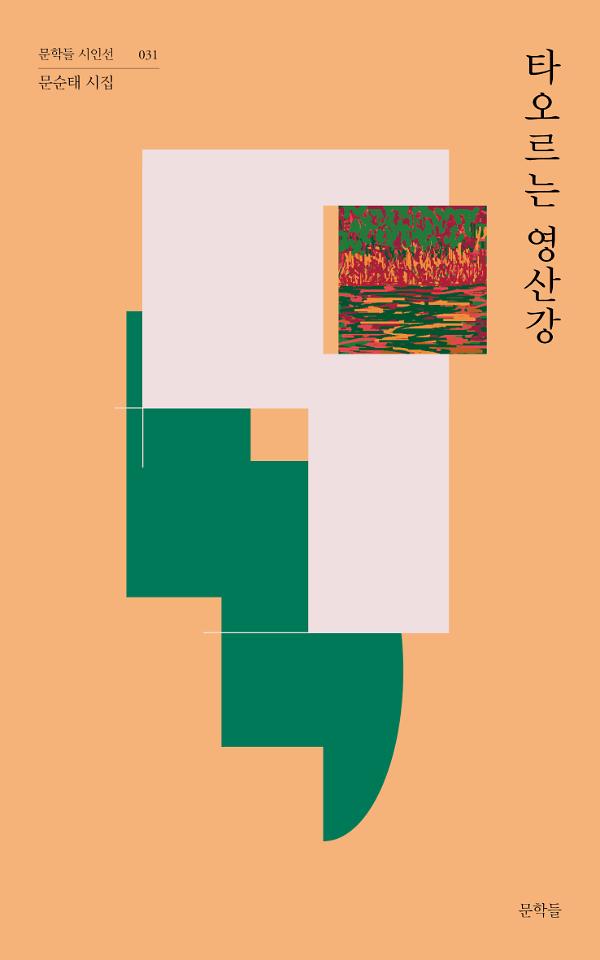 타오르는 영산강_책표지