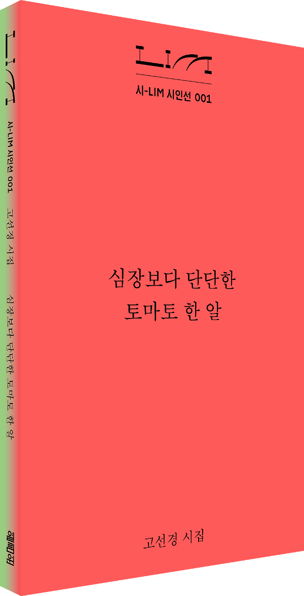 입체표지(3D 표지)