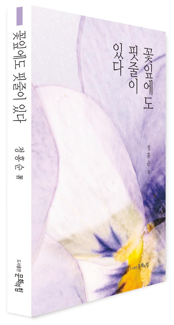 입체표지(3D 표지)